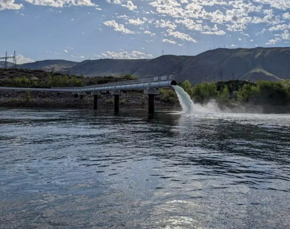 Chelan PUD Touts Fish Survival Rate Through Rocky Reach Dam