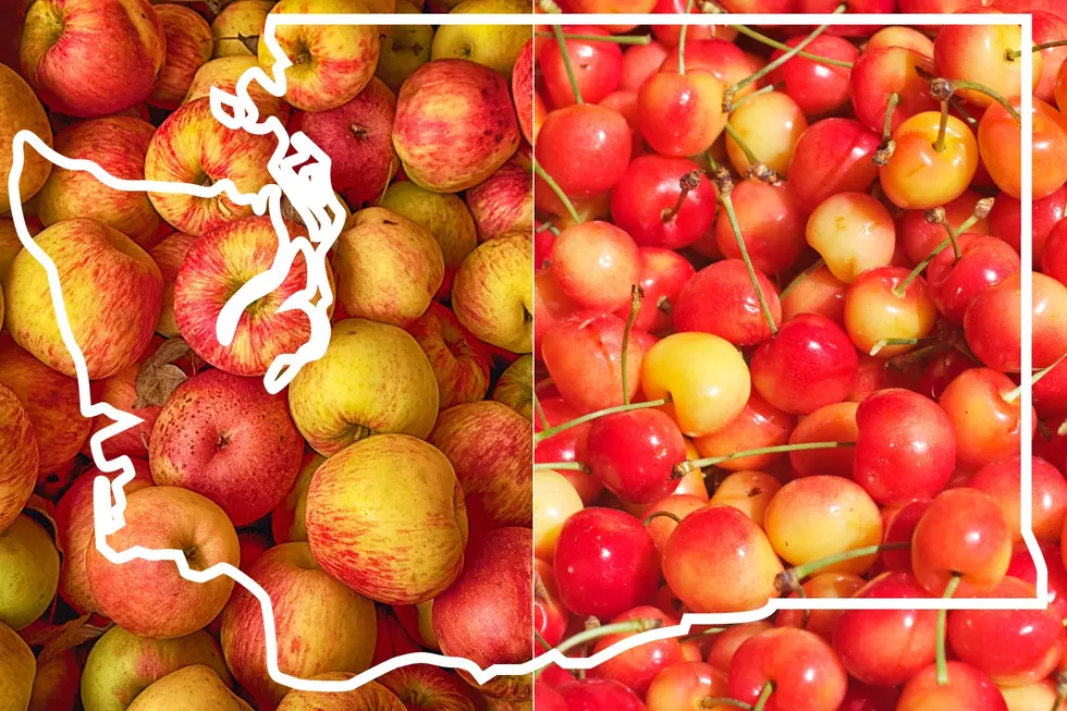 Washington State’s Famous Foods & A Few Surprises