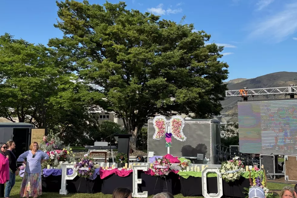 Pink, Purple, Green: Decker Sisters Memorial Draws 800 People Friday