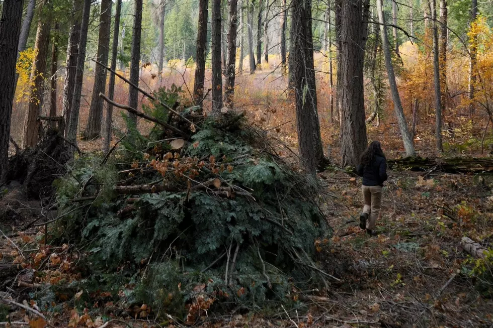 Chelan County Begins 640-Acre Hand-Pile Burn Near Lake Wenatchee