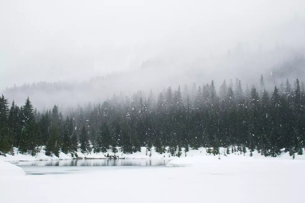 Risk of Heavy Snow Across Washington in Thanksgiving Week Forecast