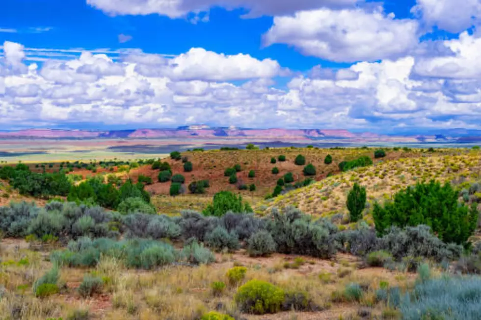 Bipartisan Western Voters Prioritize Environment Over Energy Development